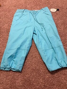 Westbound Petites Blue Turquoise Capris Size 12p NWT